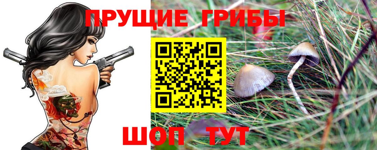 Псилоцибиновые грибы ЛСД  Галлюциногенные грибы Psilocybine cubensis  Вход с VPN  Коряжма 