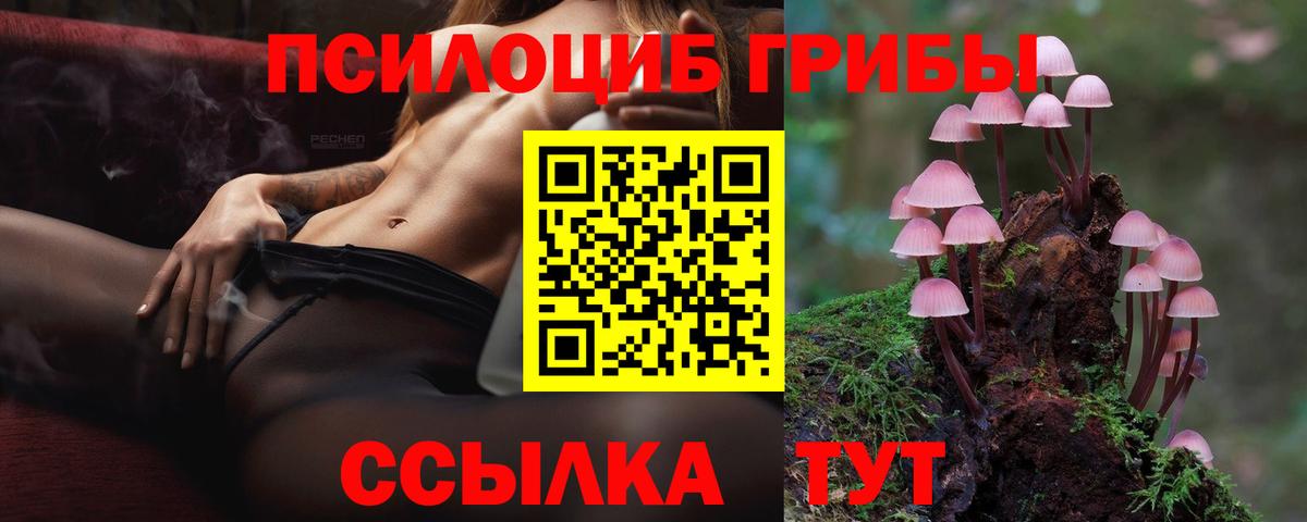 Псилоцибиновые грибы GOLDEN TEACHER Коряжма